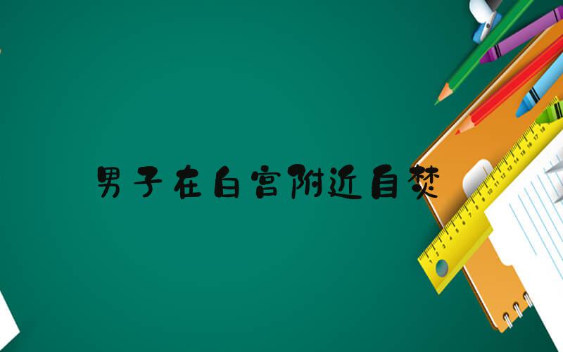 男子在白宫附近自焚 